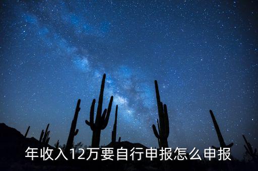 年收入12萬要自行申報怎么申報