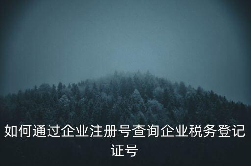 如何查詢公司稅務(wù)編號查詢系統(tǒng)，公司的稅務(wù)登記證號怎么查詢