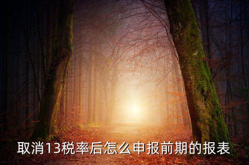 取消13稅率申報(bào)表如何填，13的稅率沒了納稅申報(bào)以后怎么辦