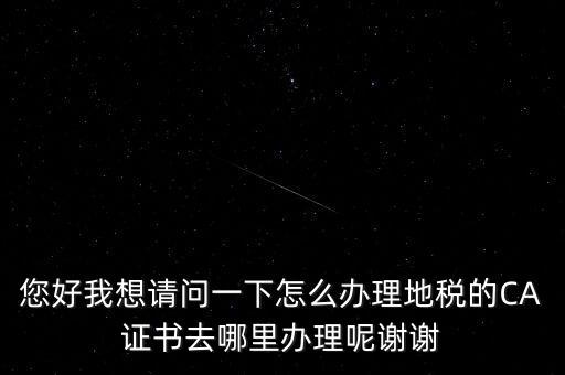 您好我想請(qǐng)問(wèn)一下怎么辦理地稅的CA證書去哪里辦理呢謝謝