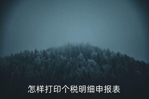 怎樣打印個稅明細(xì)申報表