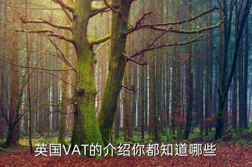 英國(guó)VAT的介紹你都知道哪些