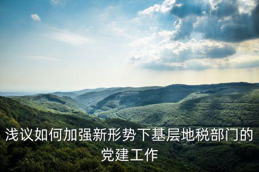 國地稅改革如何做好基層工作，淺議如何加強新形勢下基層地稅部門的黨建工作