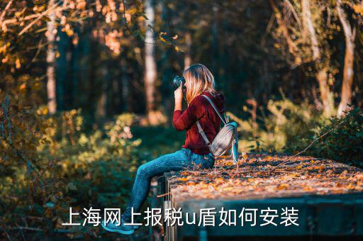 上海網(wǎng)上報稅u盾如何安裝