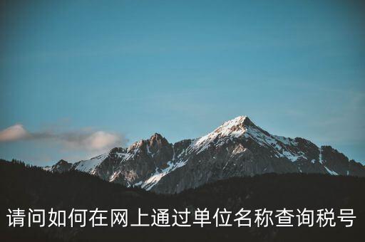 稅號如何查詢網(wǎng)站，怎么在網(wǎng)上查企業(yè)稅號