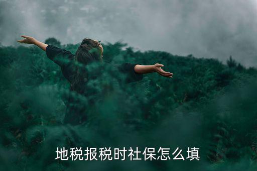 地稅如何申報社保，每月在地稅局怎么申報社保啊怎么在網(wǎng)上申報啊