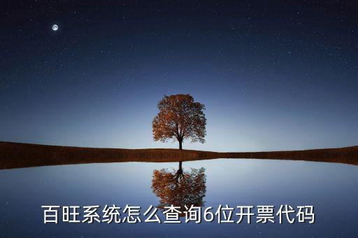 如何獲取開票代碼，增值稅專用發(fā)票開票時輸開票碼是怎么操作