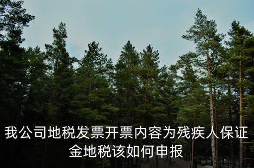 我公司地稅發(fā)票開票內(nèi)容為殘疾人保證金地稅該如何申報