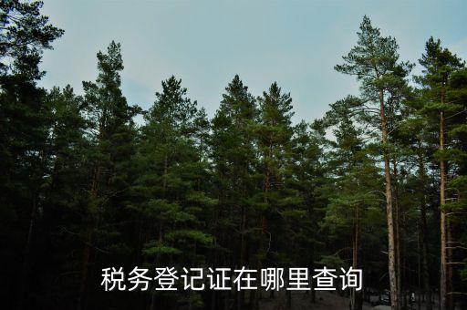 如何查地稅證書，如何查看個(gè)人名下的稅務(wù)證