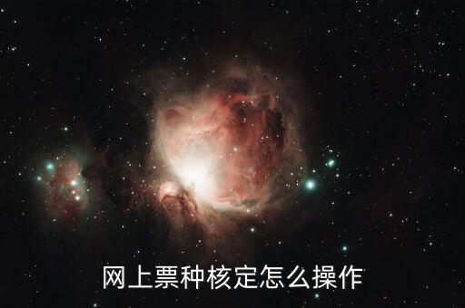 網(wǎng)上票種核定怎么操作