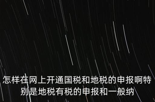 怎樣在網(wǎng)上開通國稅和地稅的申報啊特別是地稅有稅的申報和一般納