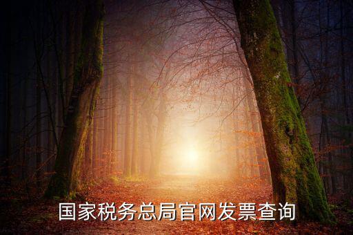 江蘇國稅如何查詢發(fā)票，江蘇發(fā)票真?zhèn)尾樵內(nèi)绾尾樵兘K發(fā)票真?zhèn)尾樵內(nèi)绾尾樵冏钪匾氖沁M