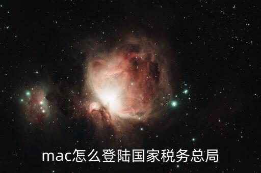 mac怎么登陸國家稅務(wù)總局