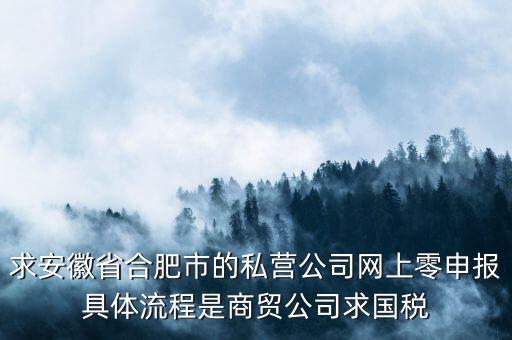 求安徽省合肥市的私營(yíng)公司網(wǎng)上零申報(bào)具體流程是商貿(mào)公司求國(guó)稅