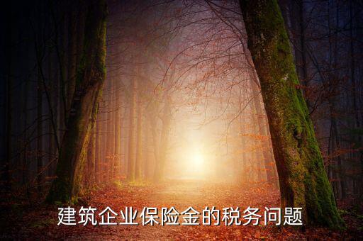 保險(xiǎn)公司稅務(wù)管理如何處理，建筑企業(yè)保險(xiǎn)金的稅務(wù)問題