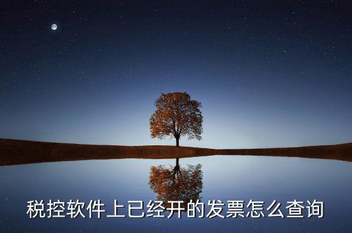 稅控軟件上已經開的發(fā)票怎么查詢