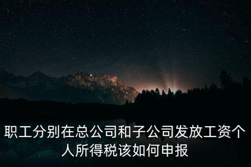 職工分別在總公司和子公司發(fā)放工資個人所得稅該如何申報(bào)