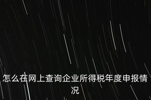 怎么在網(wǎng)上查詢企業(yè)所得稅年度申報(bào)情況