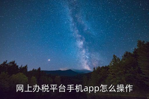 網(wǎng)上辦稅平臺手機app怎么操作