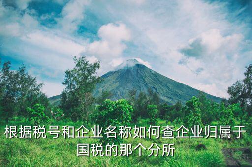 如何查詢(xún)企業(yè)所屬?lài)?guó)稅分局，根據(jù)稅號(hào)和企業(yè)名稱(chēng)如何查企業(yè)歸屬于國(guó)稅的那個(gè)分所