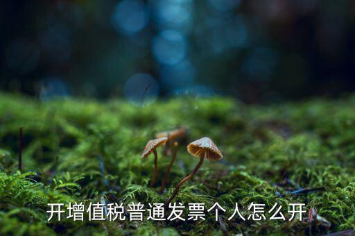 普票如何開給個(gè)人，增值稅普通發(fā)票開個(gè)人需要什么資料