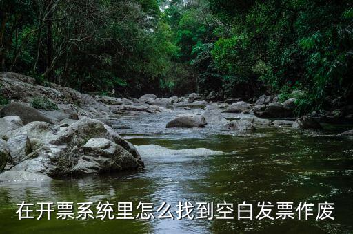 在開票系統(tǒng)里怎么找到空白發(fā)票作廢