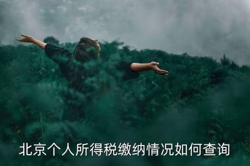 北京地稅個人如何查詢，如何查詢個人所得稅繳稅記錄