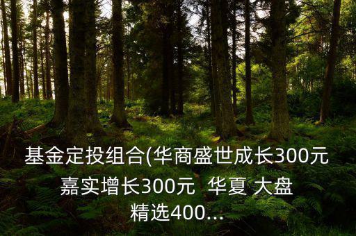 基金定投組合(華商盛世成長300元 嘉實(shí)增長300元  華夏 大盤 精選400...