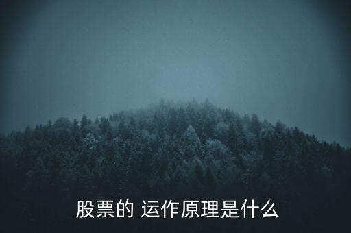  股票的 運作原理是什么