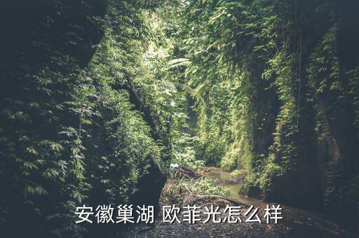 安徽巢湖 歐菲光怎么樣