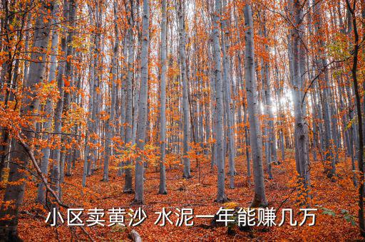 小區(qū)賣(mài)黃沙 水泥一年能賺幾萬(wàn)