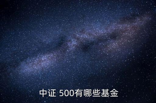  中證 500有哪些基金