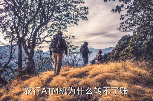 同行atm怎么轉(zhuǎn)不了賬,銀行atm轉(zhuǎn)賬實時發(fā)送到本人銀行卡