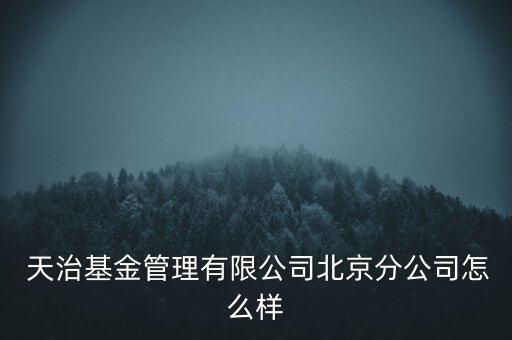  天治基金管理有限公司北京分公司怎么樣