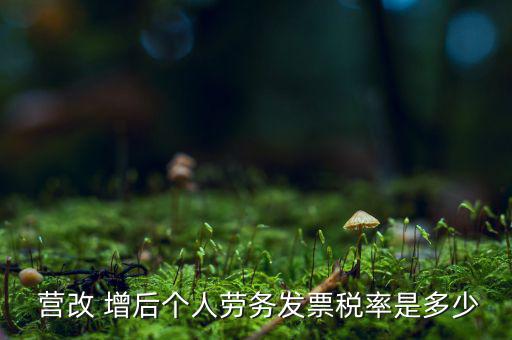 營改增后個(gè)稅怎么征收,新征收稅率3%為小規(guī)模納稅人適用稅率