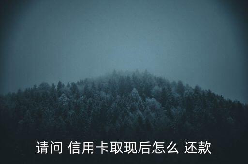 請(qǐng)問 信用卡取現(xiàn)后怎么 還款