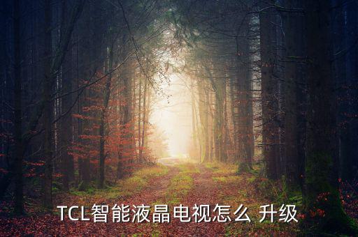 TCL智能液晶電視怎么 升級(jí)