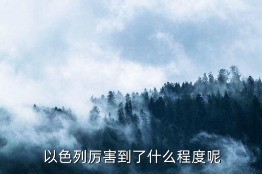 以色列市場(chǎng)怎么樣,虎刺怕的六大精神內(nèi)核