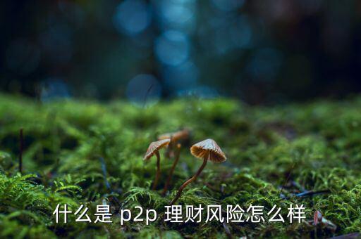 什么是 p2p 理財(cái)風(fēng)險(xiǎn)怎么樣