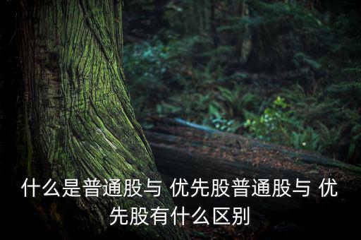 什么是普通股與 優(yōu)先股普通股與 優(yōu)先股有什么區(qū)別