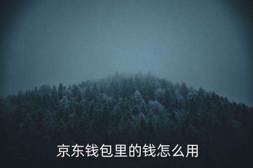 京東怎么使用網(wǎng)銀錢包,中國(guó)新增11起病例全由境外輸入