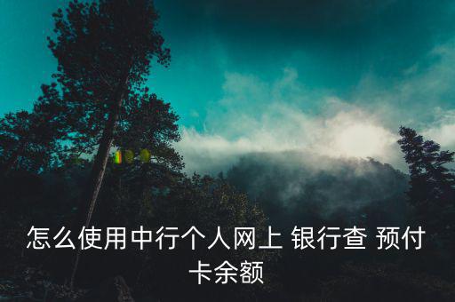 怎么使用中行個(gè)人網(wǎng)上 銀行查 預(yù)付卡余額