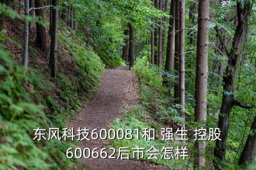 東風(fēng)科技600081和 強(qiáng)生 控股600662后市會怎樣