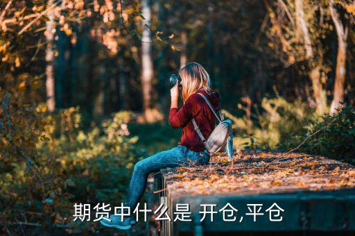 期貨開(kāi)倉(cāng)買(mǎi)入怎么出點(diǎn),開(kāi)倉(cāng)就是買(mǎi)入或賣出平倉(cāng)