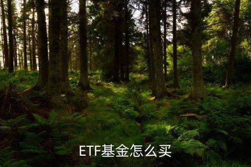 etf怎么申購(gòu),etf開通第一天投資者可開戶申購(gòu)和贖回