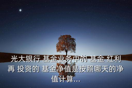 光大銀行 基金業(yè)務(wù)中的 基金 紅利再 投資的 基金凈值是按照哪天的凈值計算...