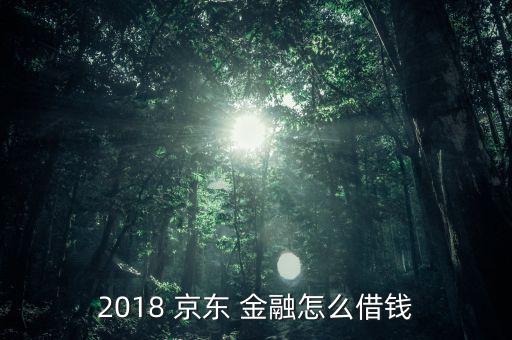 2018 京東 金融怎么借錢