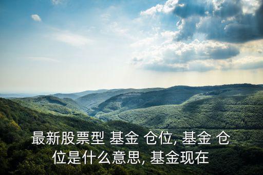 最新股票型 基金 倉(cāng)位, 基金 倉(cāng)位是什么意思, 基金現(xiàn)在