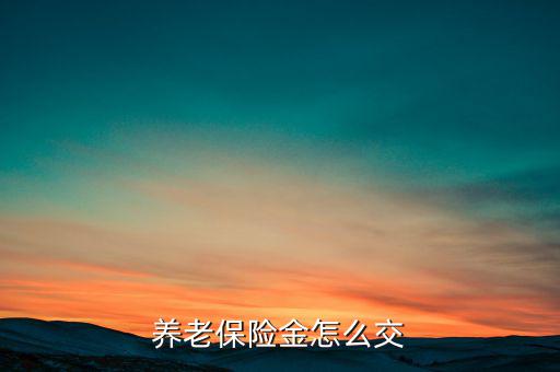 養(yǎng)老保險(xiǎn)金怎么交