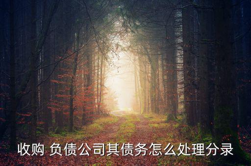 收購(gòu) 負(fù)債公司其債務(wù)怎么處理分錄